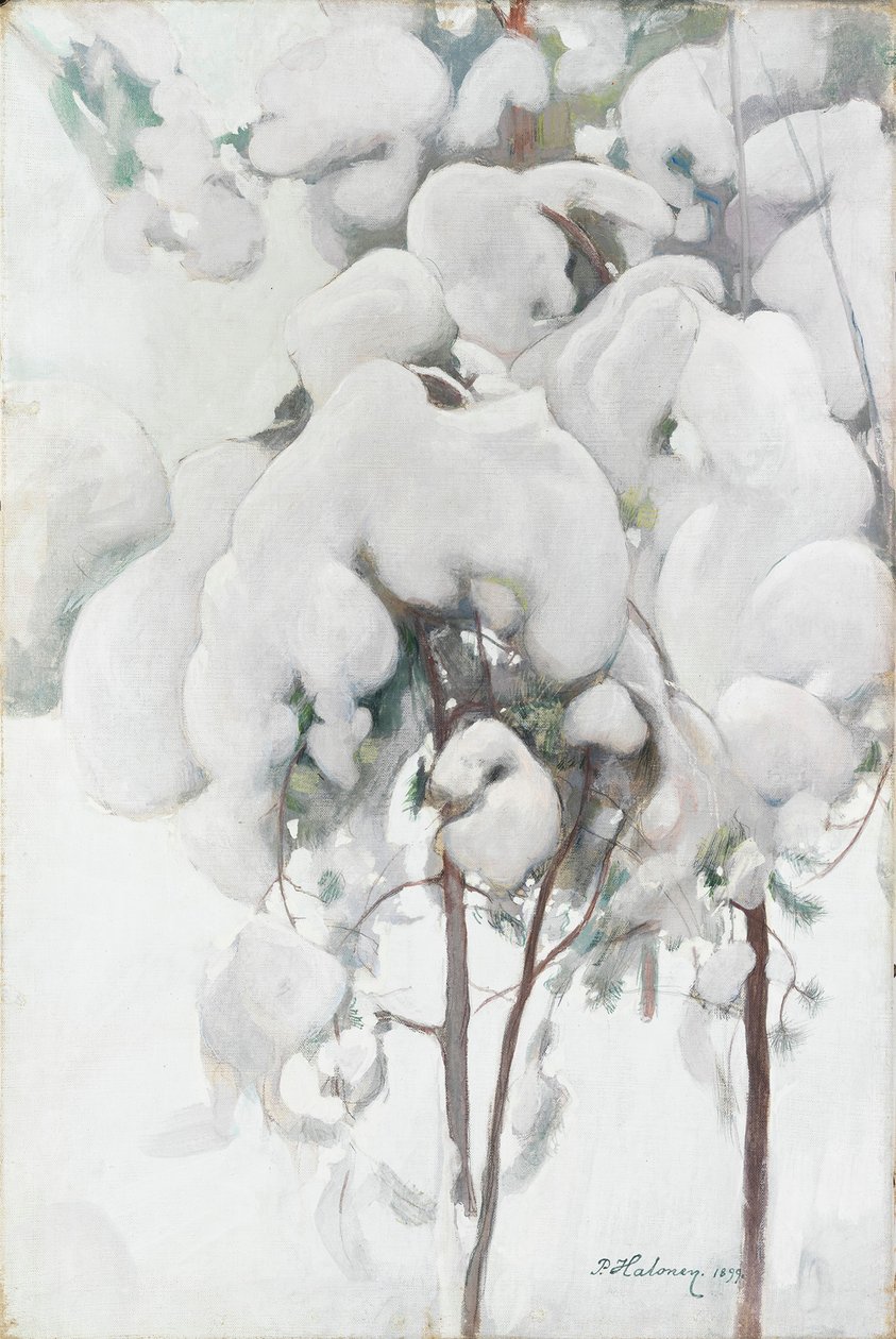 Snow-Covered Pine Saplings by Pekka Halonen