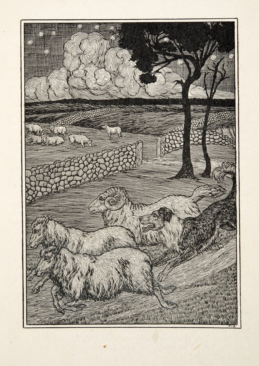 A Canine Sheep Stealer by Percy J. Billingshurst