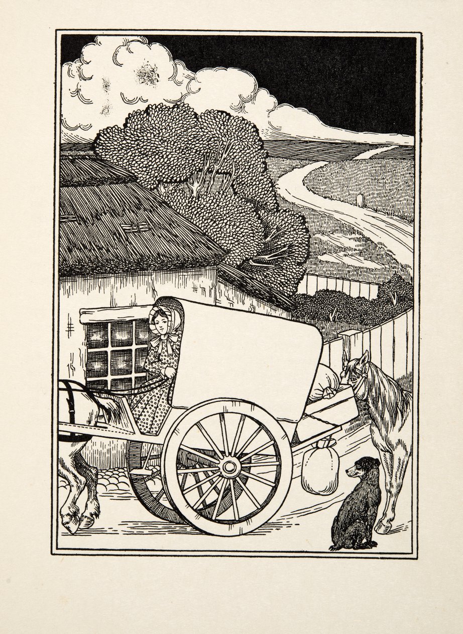 A Carrier