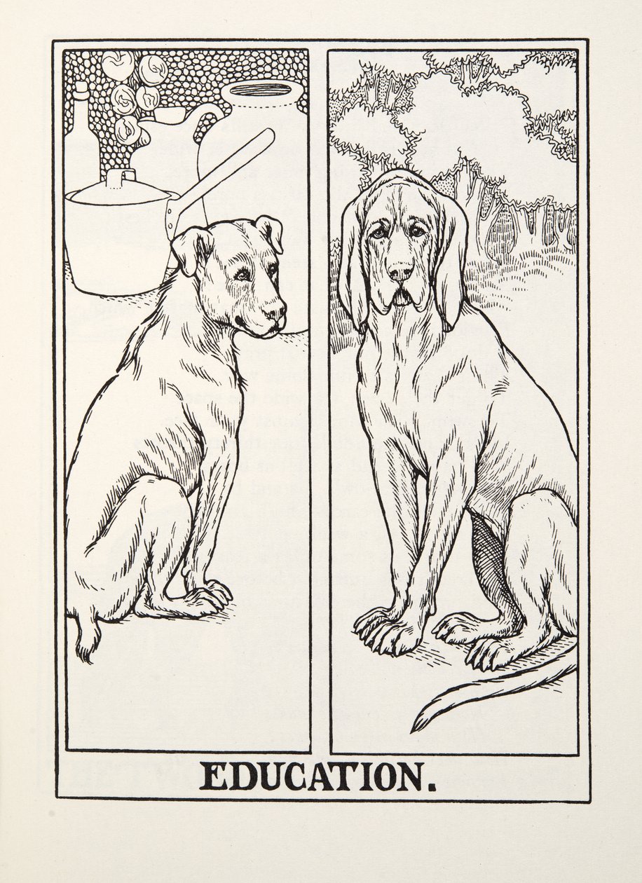 Education, from Fontaine Fables by Percy J. Billingshurst