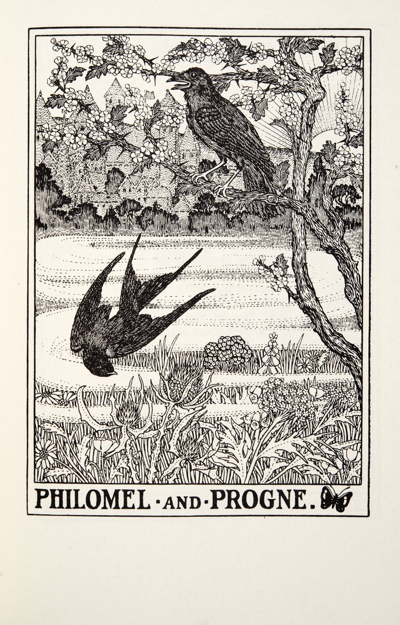 Philomel and Progne, from Fontaine Fables by Percy J. Billingshurst