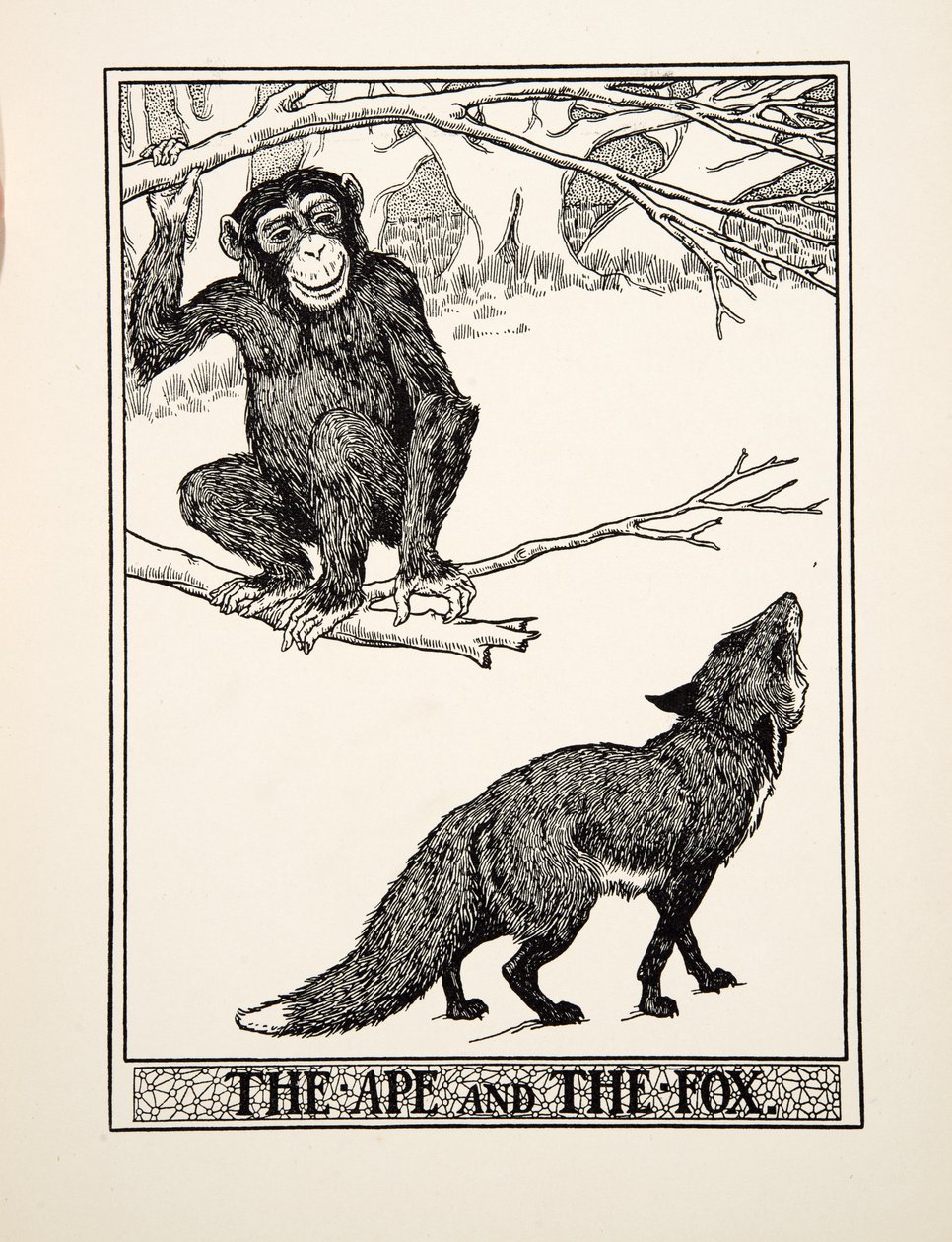 The Ape and the Fox, from A Hundred Fables of Aesop, pub. 1903 by Percy J. Billingshurst
