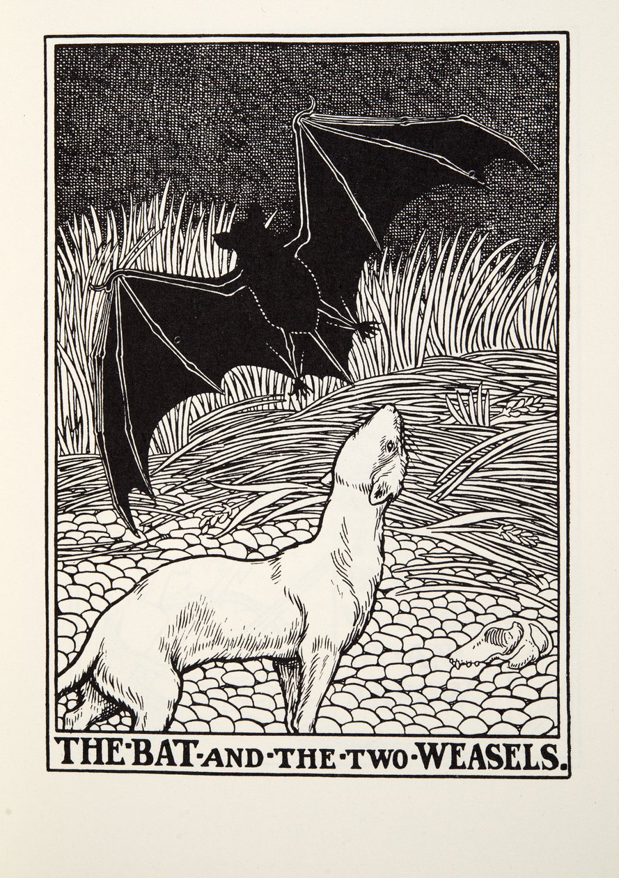 The Bat and the Two Weasels, from Fontaine Fables by Percy J. Billingshurst