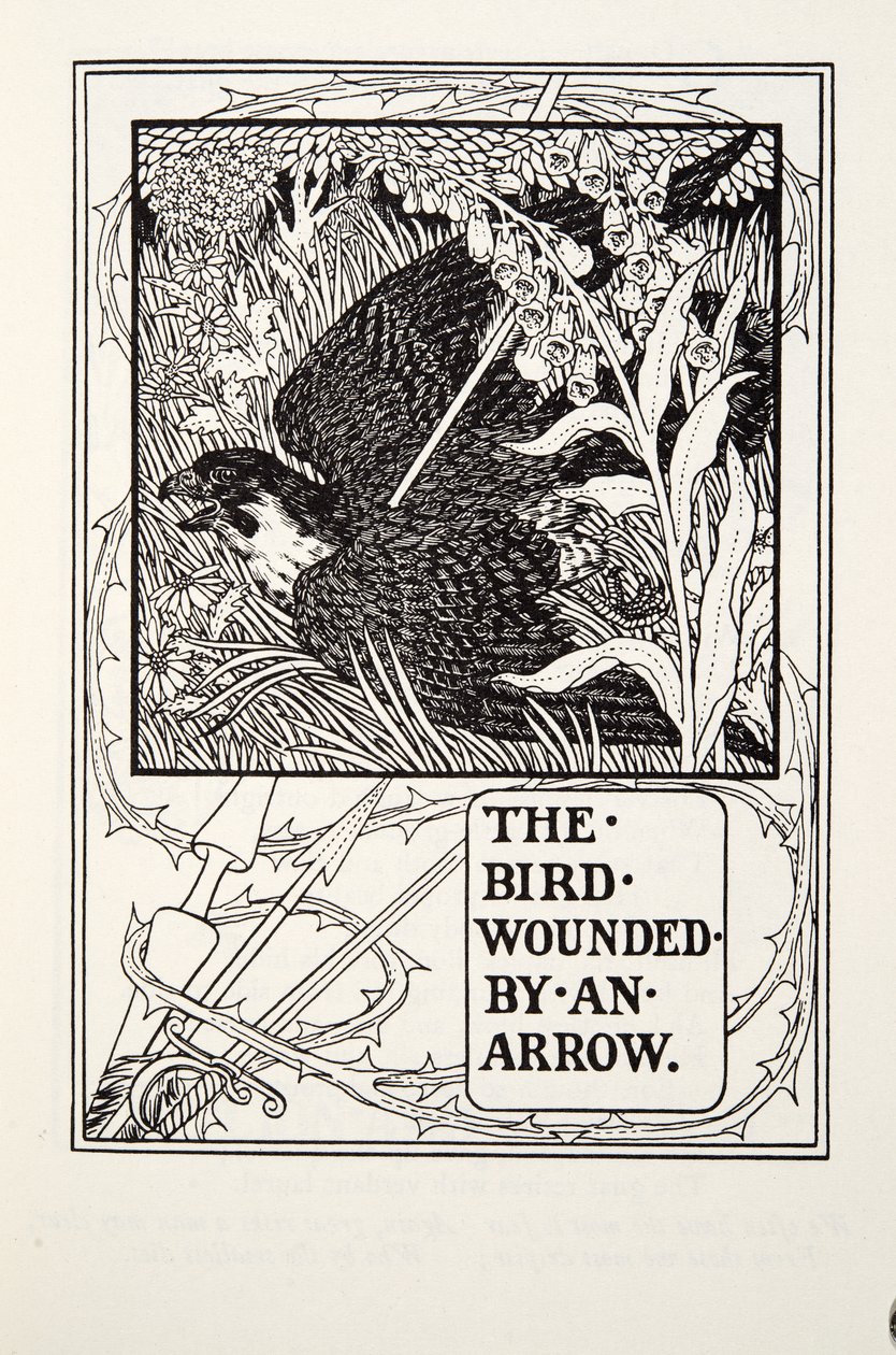 The Bird Wounded by an Arrow, from Fontaine Fables by Percy J. Billingshurst