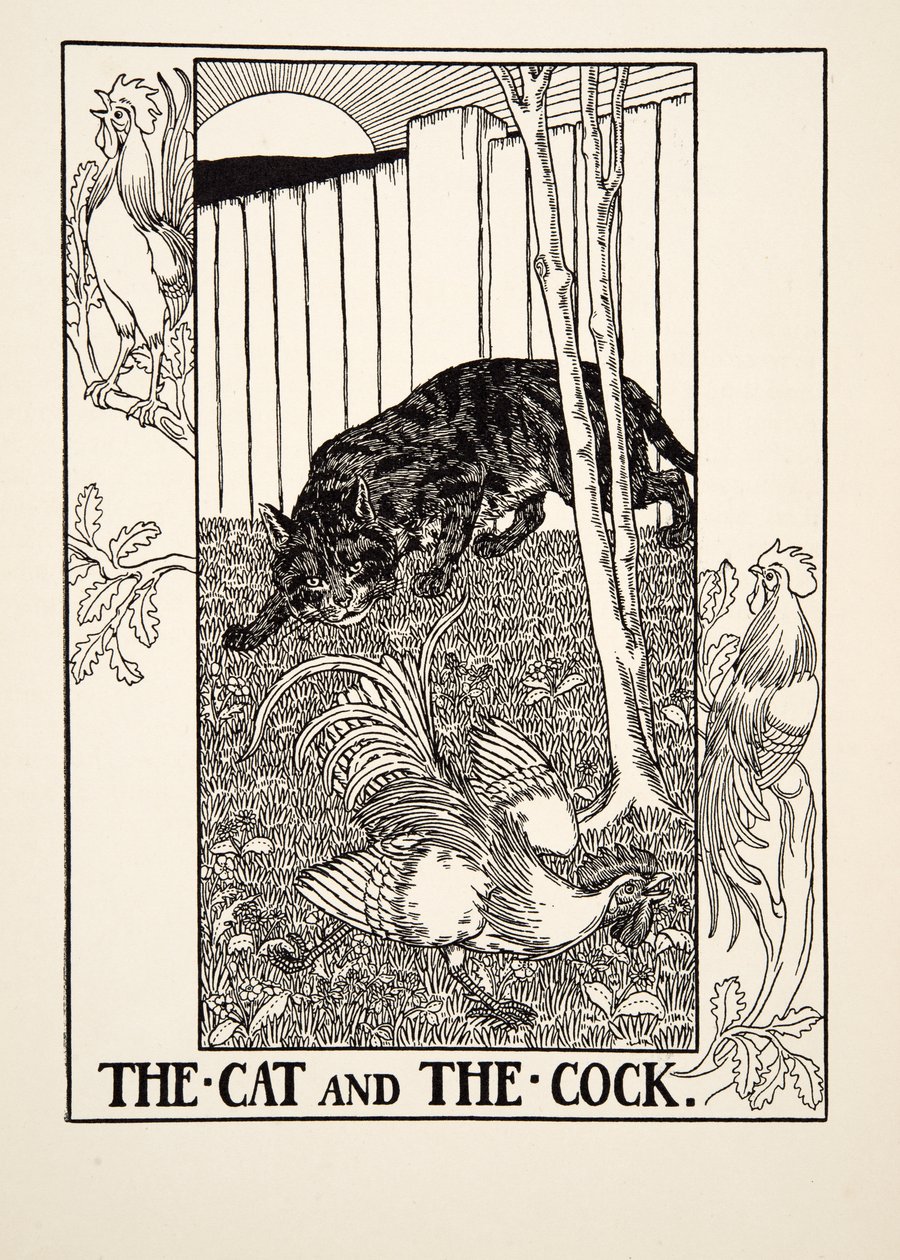The Cat and the Cock, from A Hundred Fables of Aesop, pub.1903 by Percy J. Billingshurst