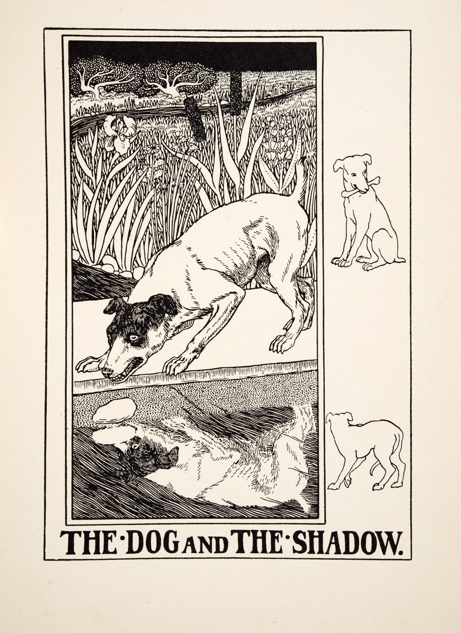 The Dog and the Shadow, from A Hundred Fables of Aesop, pub.1903 by Percy J. Billingshurst