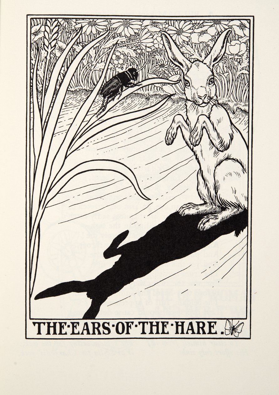 The Ears of the Hare, from Fontaine Fables by Percy J. Billingshurst