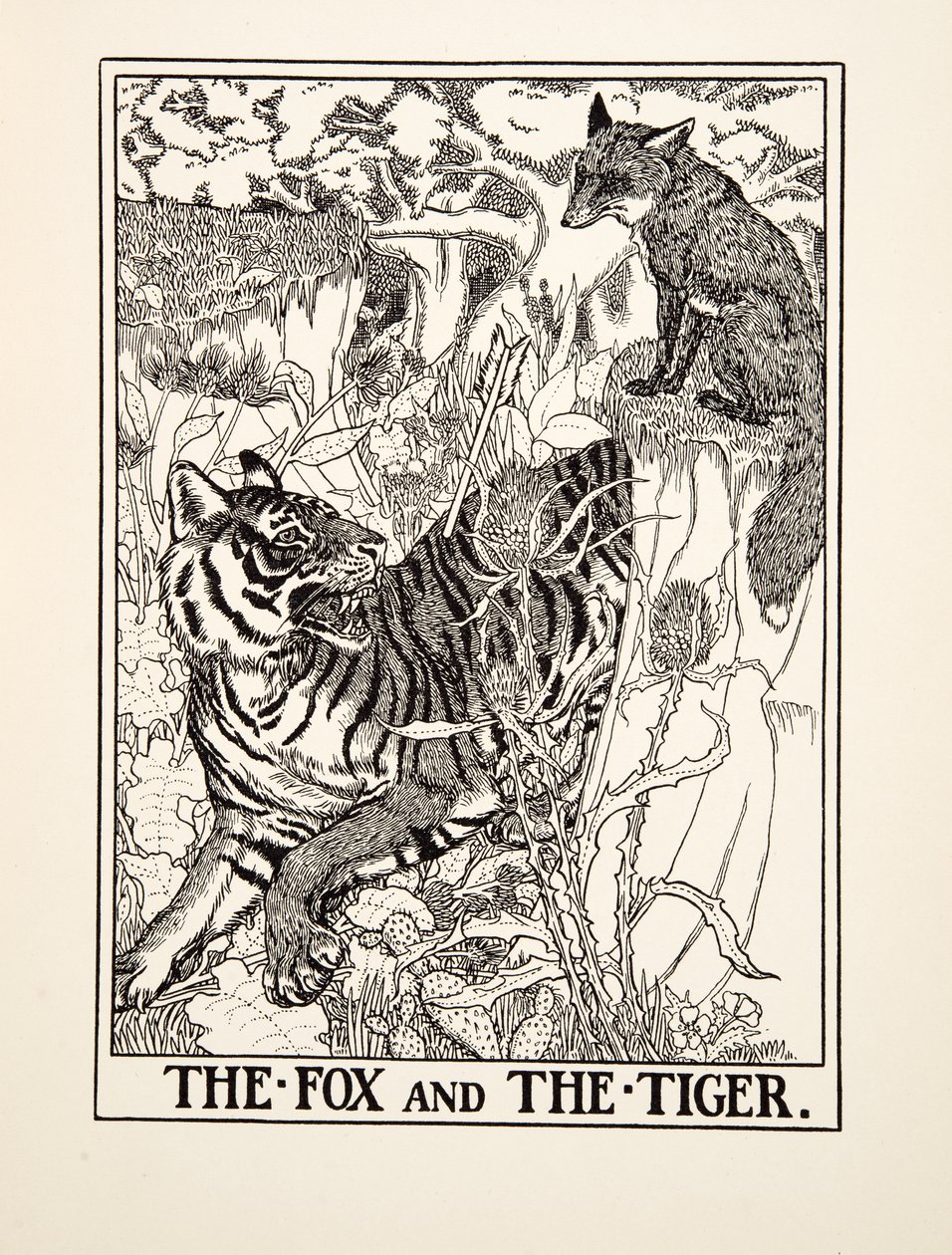 The Fox and the Tiger, from A Hundred Fables of Aesop, pub. 1903 by Percy J. Billingshurst