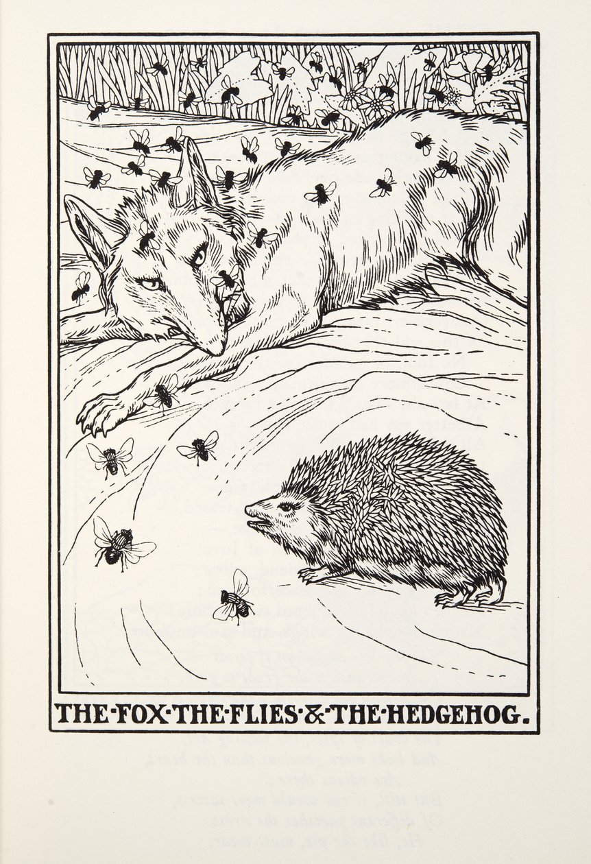 The Fox, the Flies and the Hedgehog, from Fontaine Fables by Percy J. Billingshurst