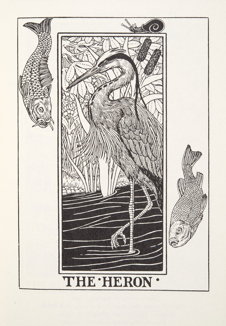 The Heron, from Fontaine Fables, pub. 1905 by Percy J. Billingshurst