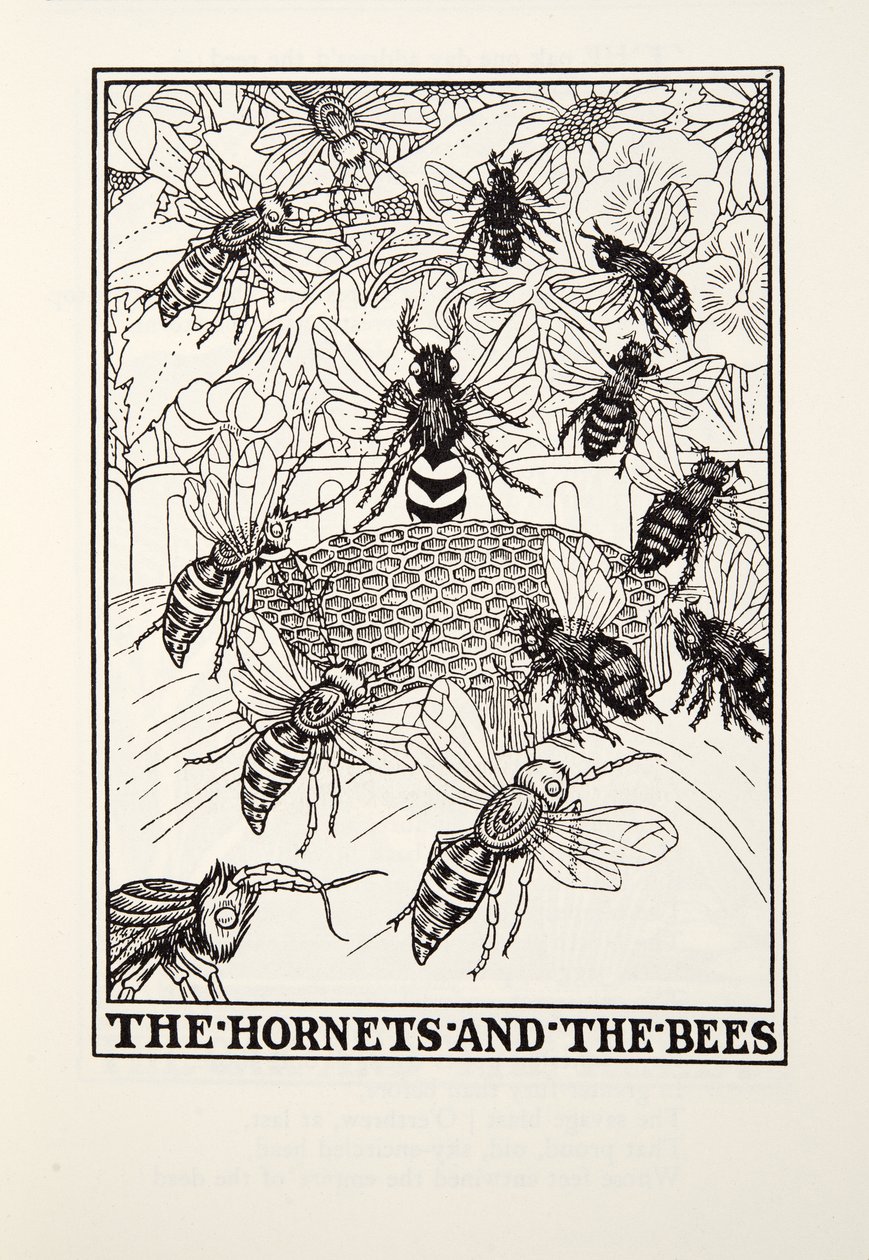 The Hornets and the Bees, from Fontaine Fables, pub. 1905 by Percy J. Billingshurst
