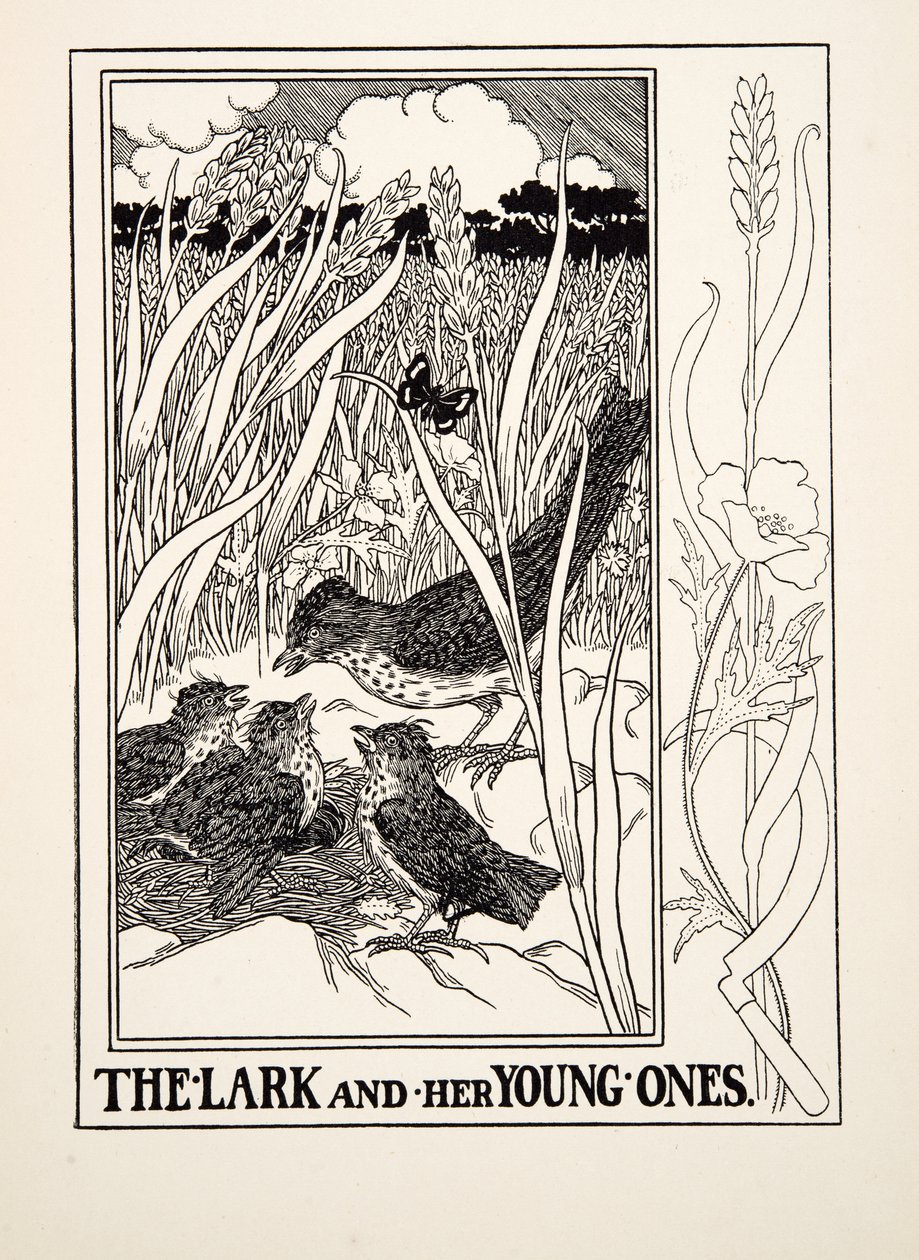 The Lark and Her Young Ones, from A Hundred Fables of Aesop, pub. 1903 by Percy J. Billingshurst