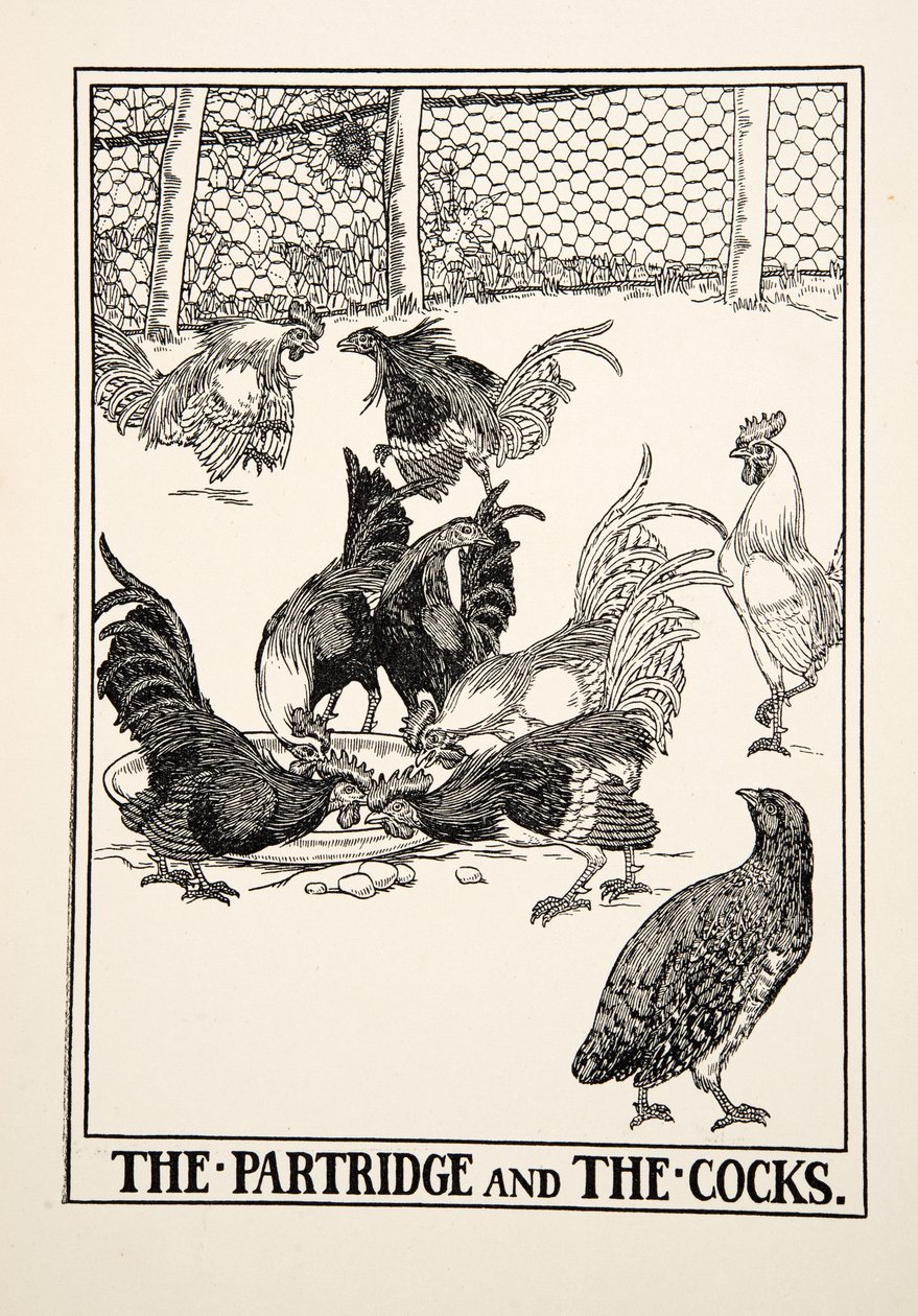 The Partridge and the Cocks, from A Hundred Fables of Aesop by Percy J. Billingshurst