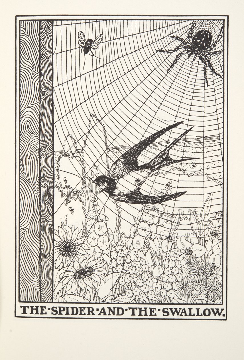 The Spider and the Swallow, from Fontaine Fables, pub. 1905 by Percy J. Billingshurst