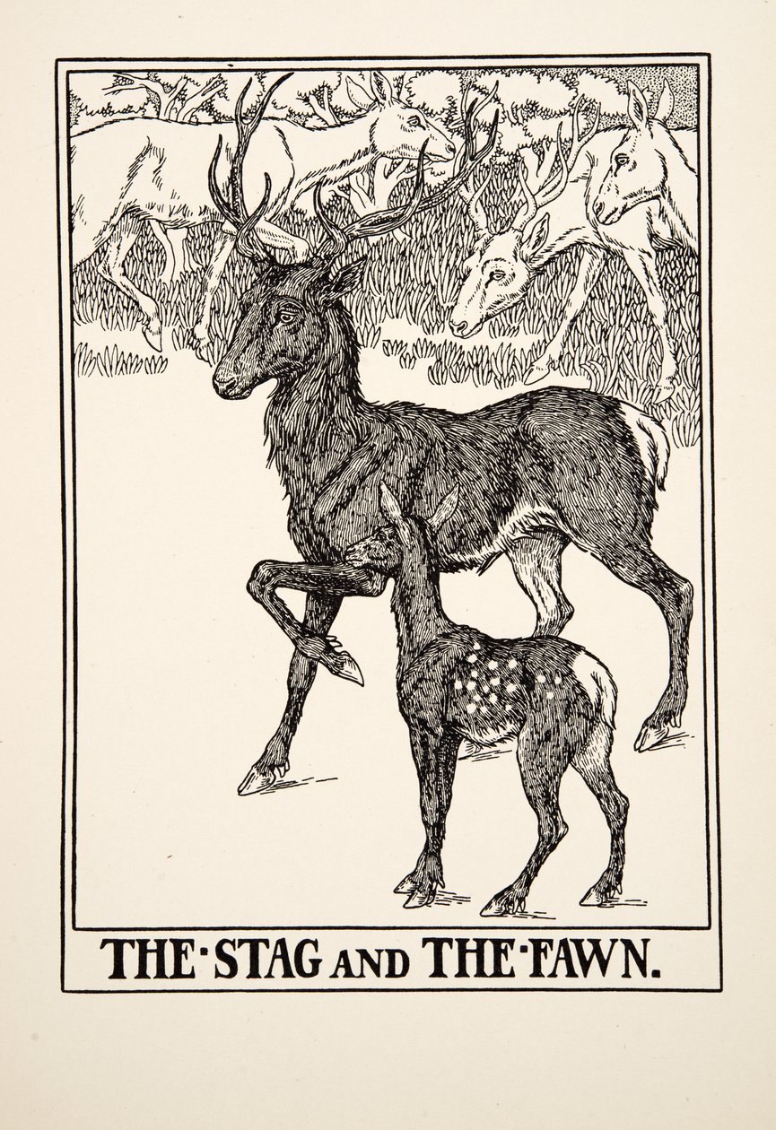The Stag and the Fawn, from A Hundred Fables of Aesop by Percy J. Billingshurst
