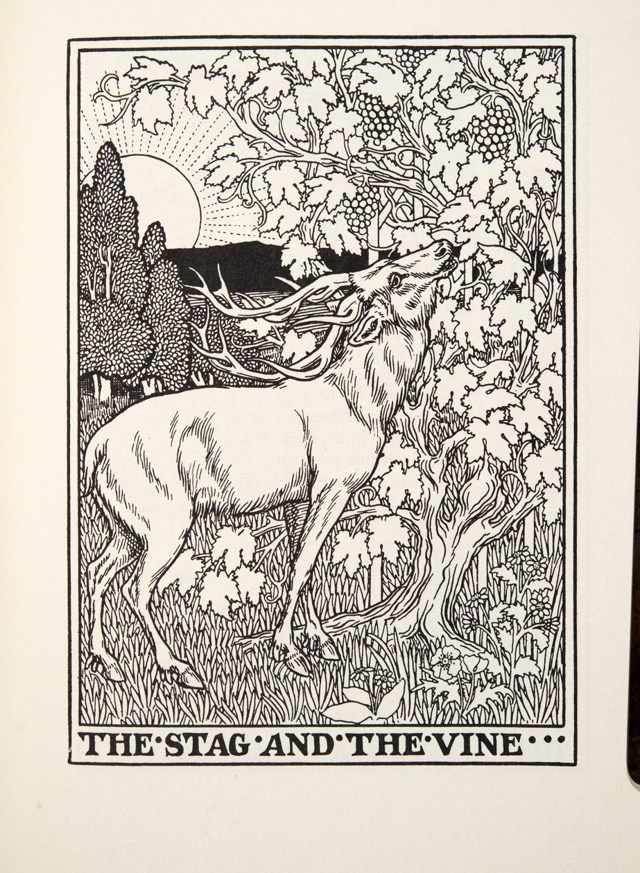 The Stag and the Vine, from Fontaine Fables, pub. 1905 by Percy J. Billingshurst