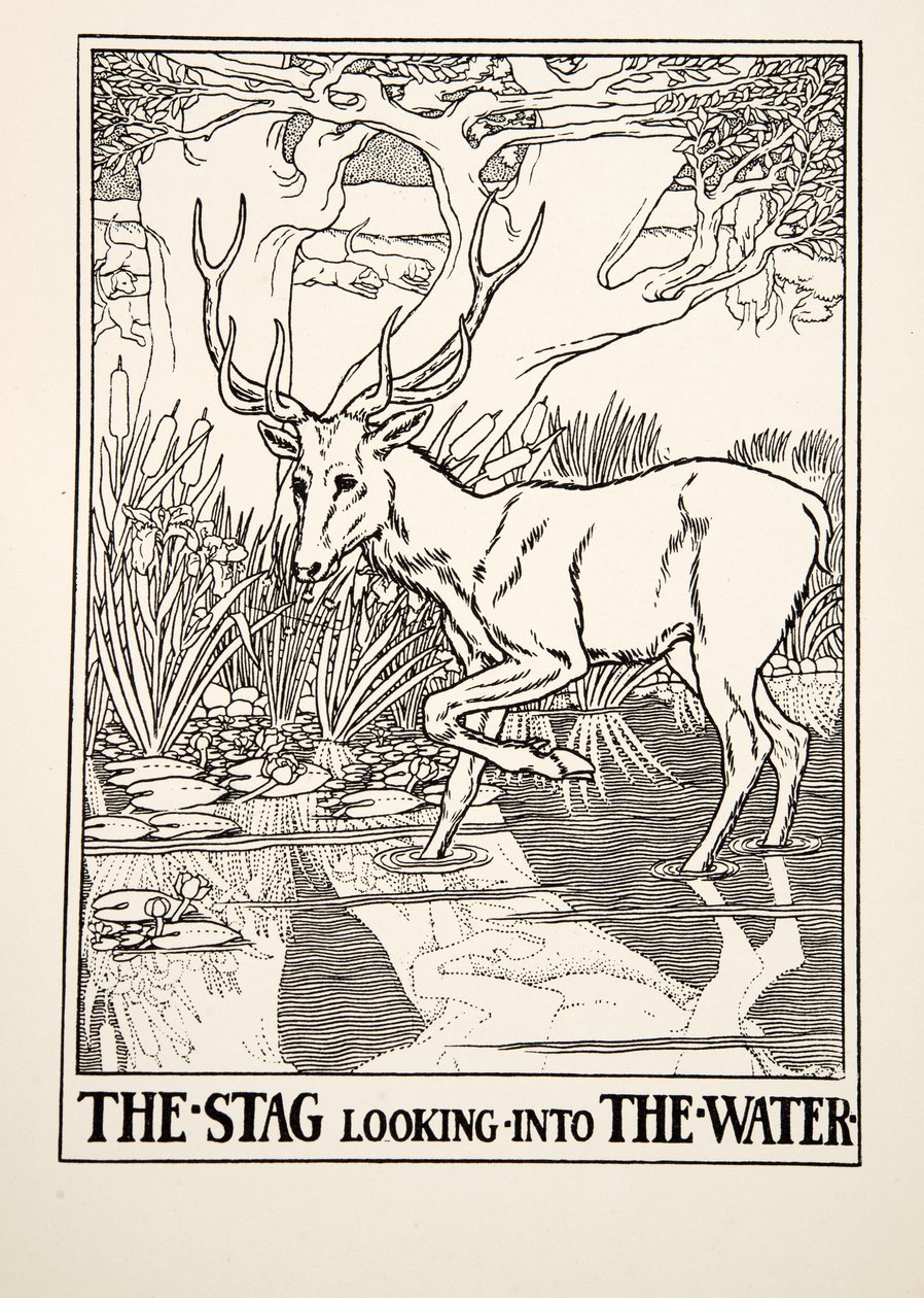 The Stag looking into the Water, from A Hundred Fables of Aesop, published 1903 by Percy J. Billingshurst