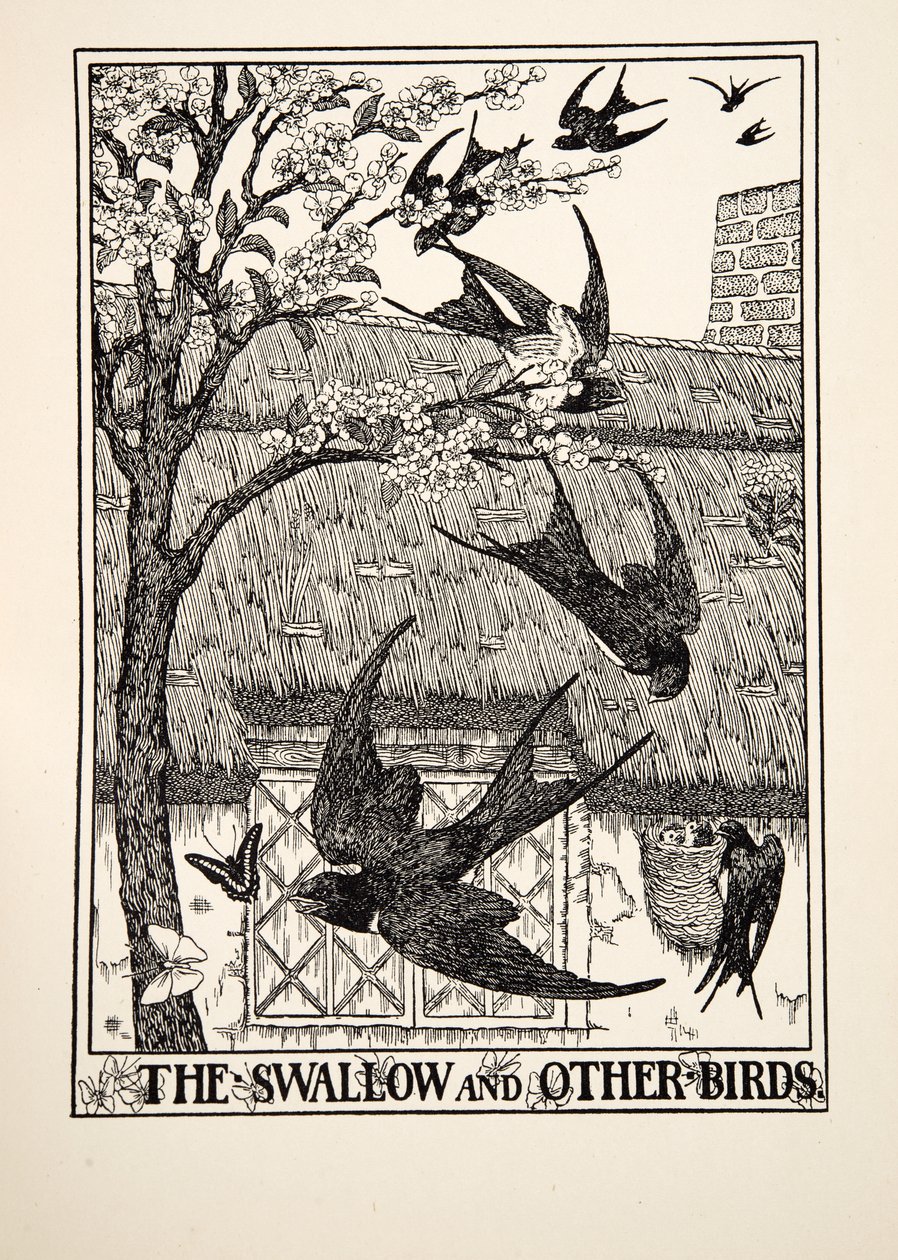 The Swallow and Other Birds, from A Hundred Fables of Aesop, pub.1903 by Percy J. Billingshurst