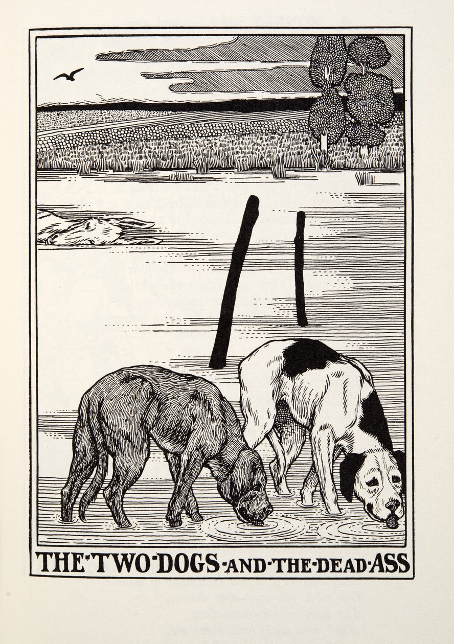 The Two Dogs and the Dead Ass, from Fontaine Fables, pub. 1905 by Percy J. Billingshurst