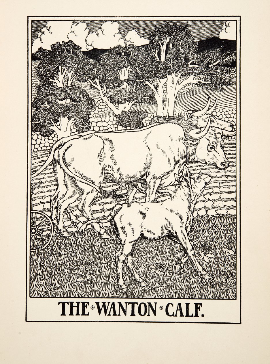 The Wanton Calf, from A Hundred Fables of Aesop by Percy J. Billingshurst