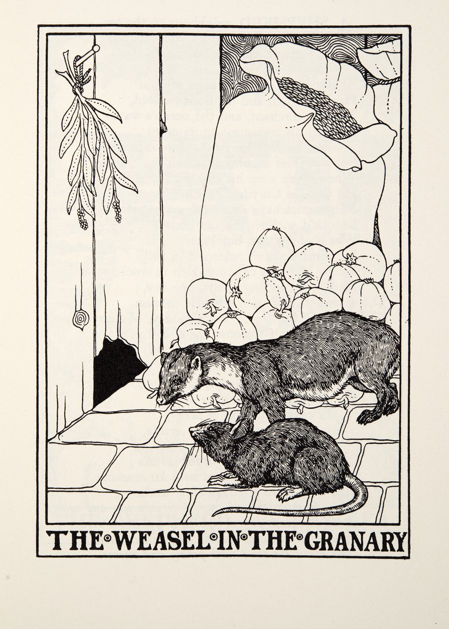 The Weasel in the Granary, from Fontaine Fables by Percy J. Billingshurst