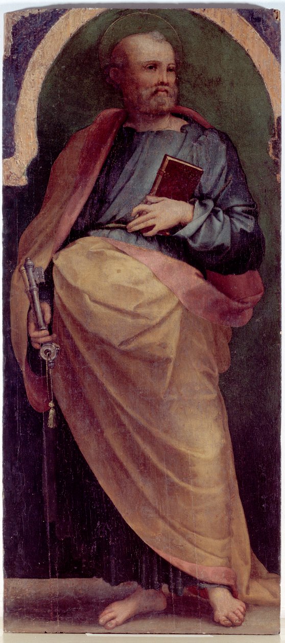 St Peter, Side Panel by Perino del Vaga