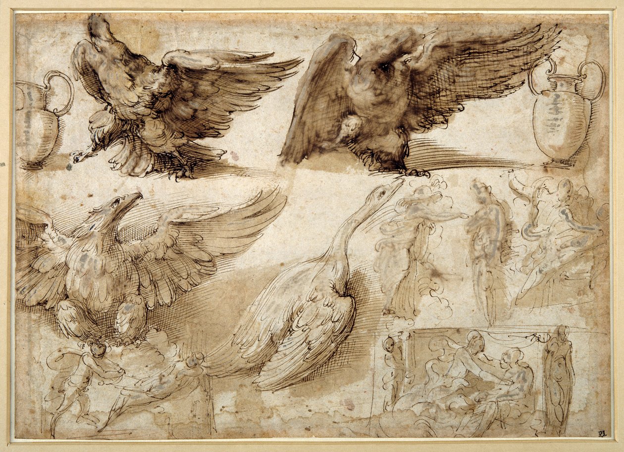 Studies of an Eagle, a Goose, a Jug, a Jar and of Human Figures Including Two for a Rape of Lucretia by Perino del Vaga