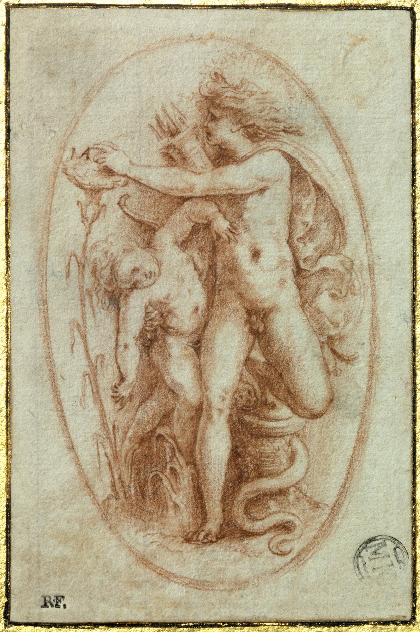 Apollo and Hyacinth by Perino del Vaga