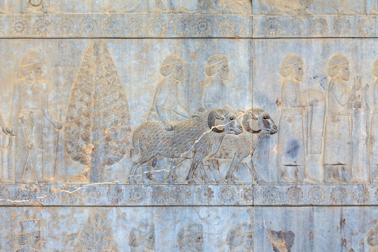 Bas Reliefs at the Walls of Apadana Palace and Staircase, Persepolis, Iran by Persian School