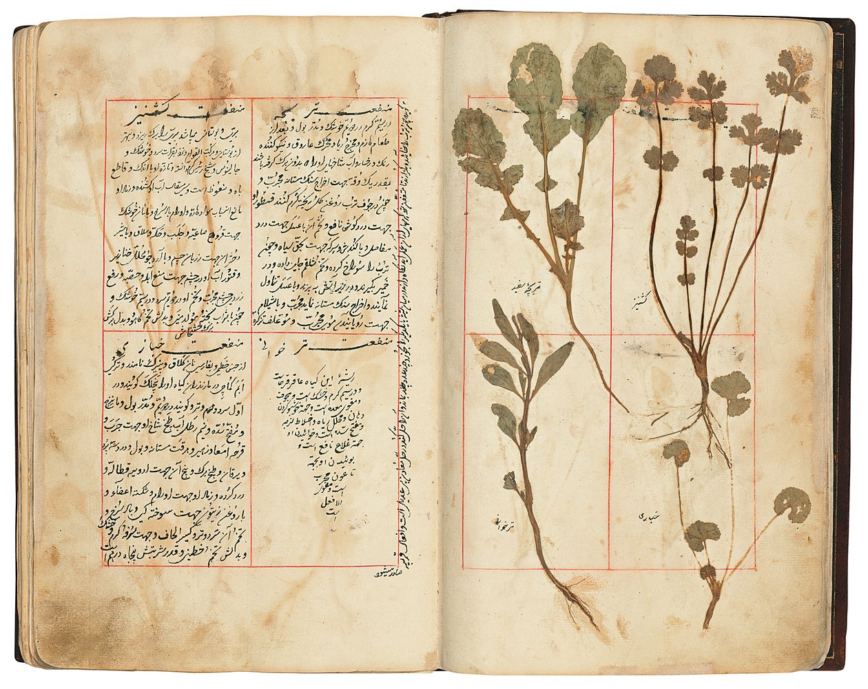 Hassan Bin Baqir Bin Jarrah: Gulzar Al-Rayahin, Qajar Iran by Persian School