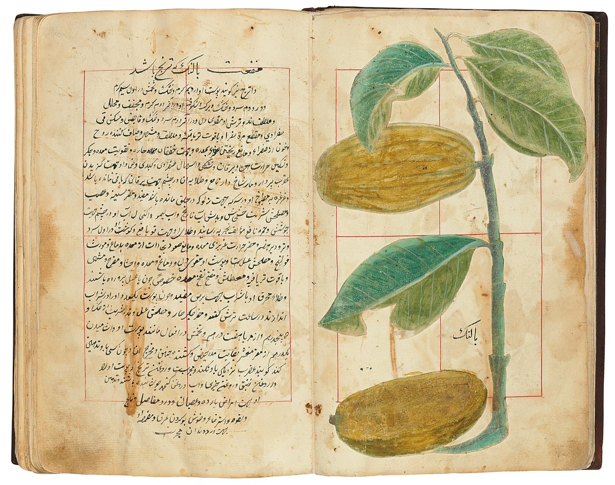 Hassan Bin Baqir Bin Jarrah: Gulzar Al-Rayahin, Qajar Iran by Persian School