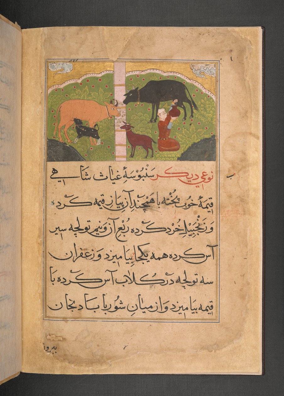 Illustration for milking from The Ni