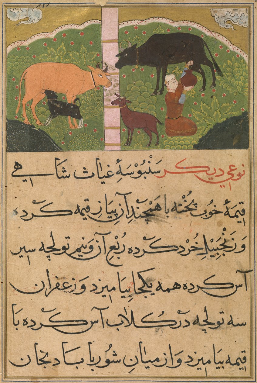 Milking, from The Ni