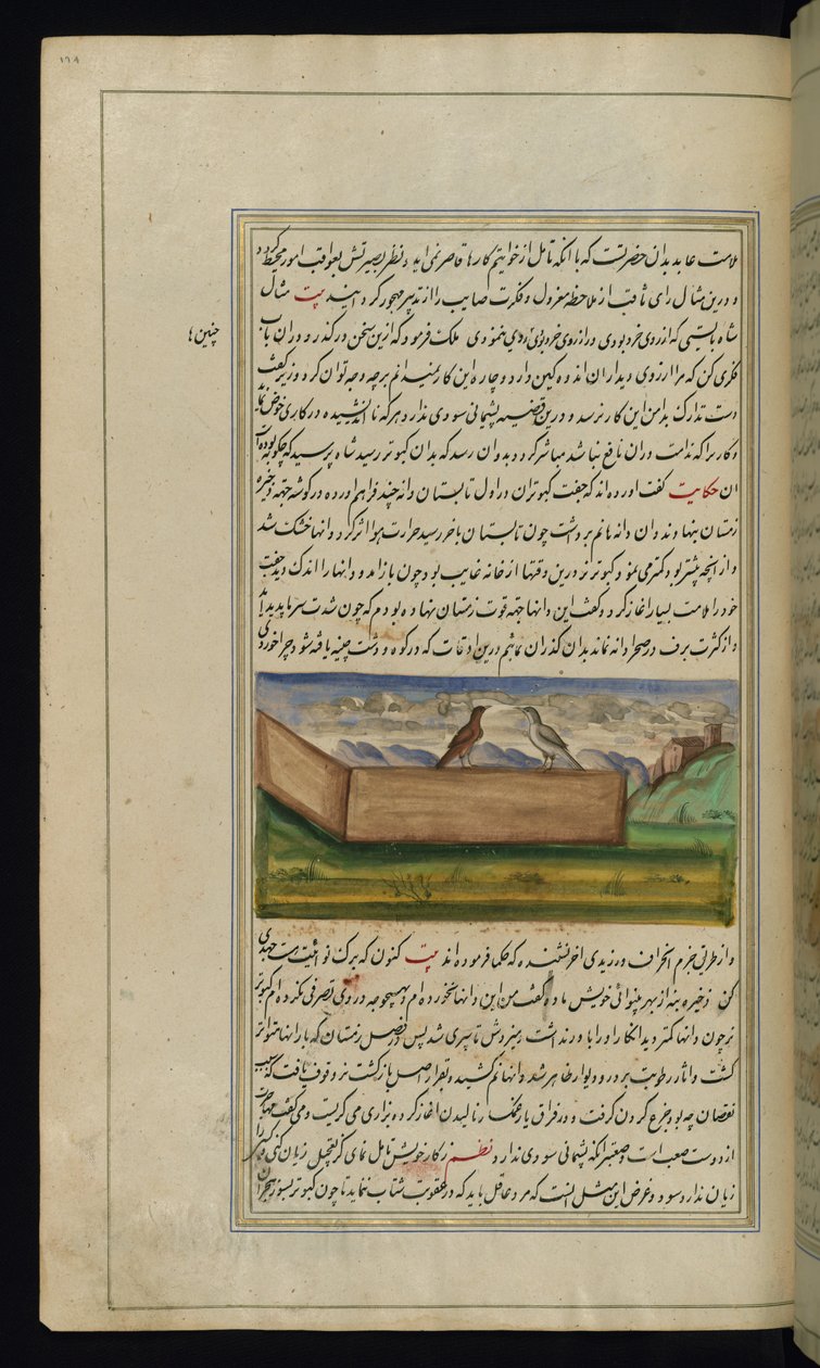 Two pigeons and a supply of grain from Lights of Canopus by Persian School