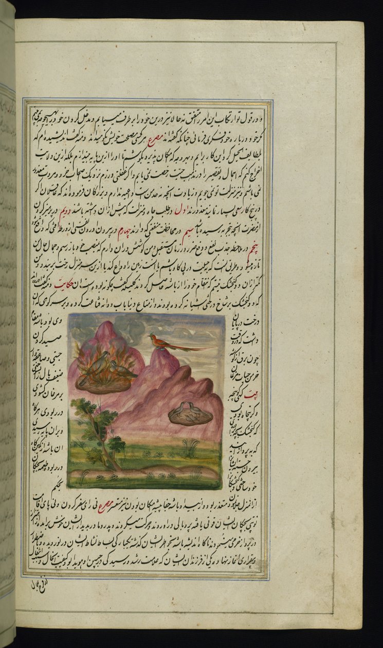 Two sparrows set on fire and a falcon from Lights of Canopus by Persian School