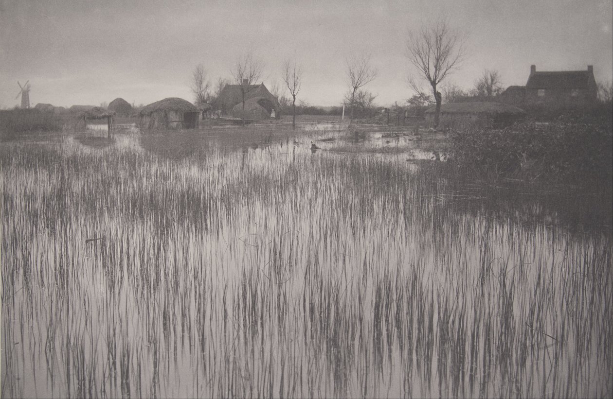 A Rushy Shore, plate XXXV from Life and Landscape on the Norfolk Broads by Peter Henry Emerson