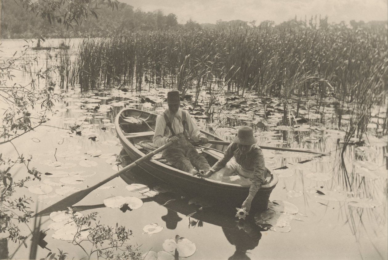 Gathering Water-Lilies by Peter Henry Emerson