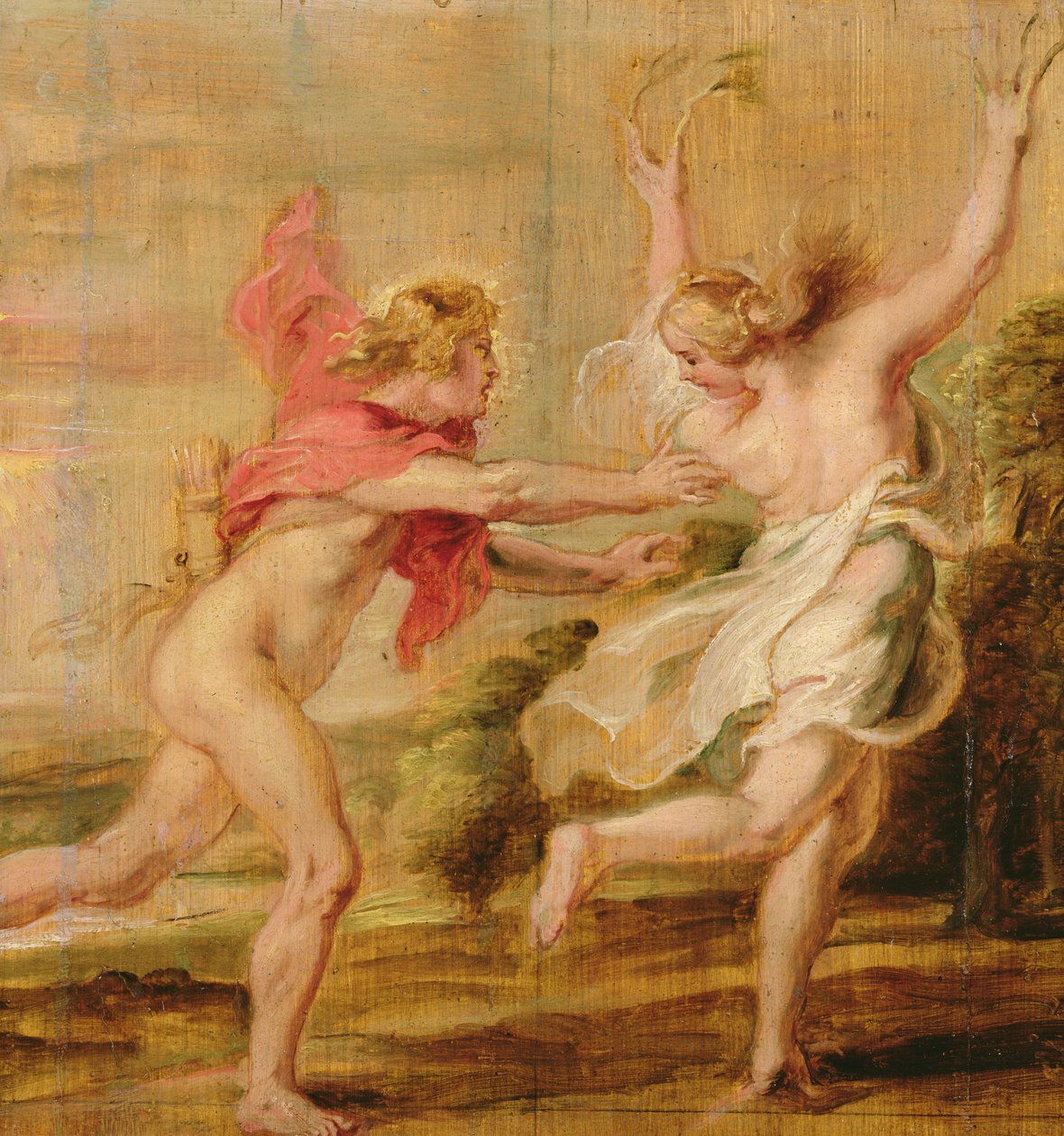 Apollo and Daphne, c.1636 by Peter Paul Rubens