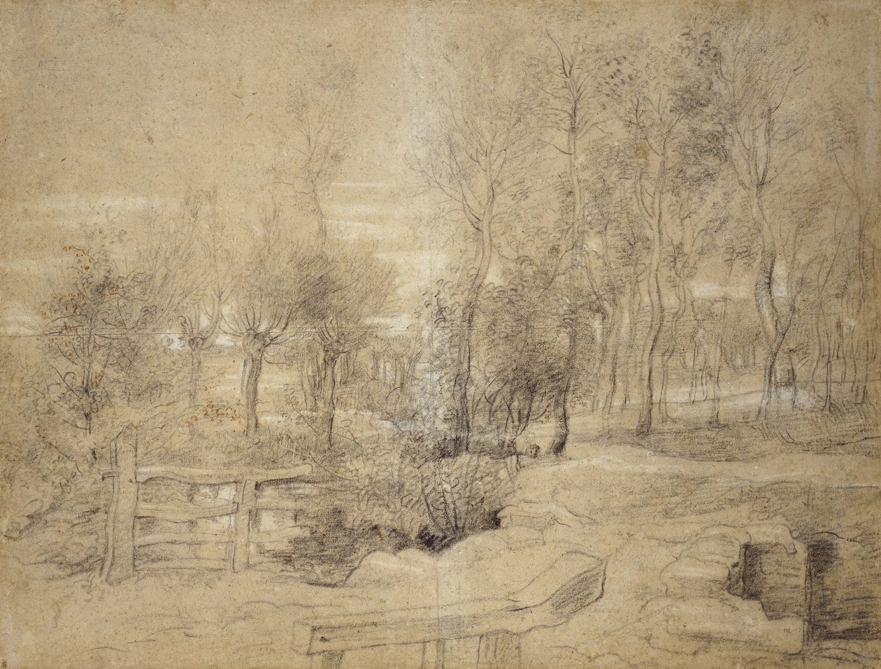 Woodland Scene by Peter Paul Rubens