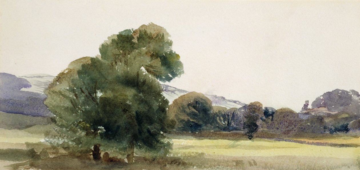Trees in a Field by Peter de Wint