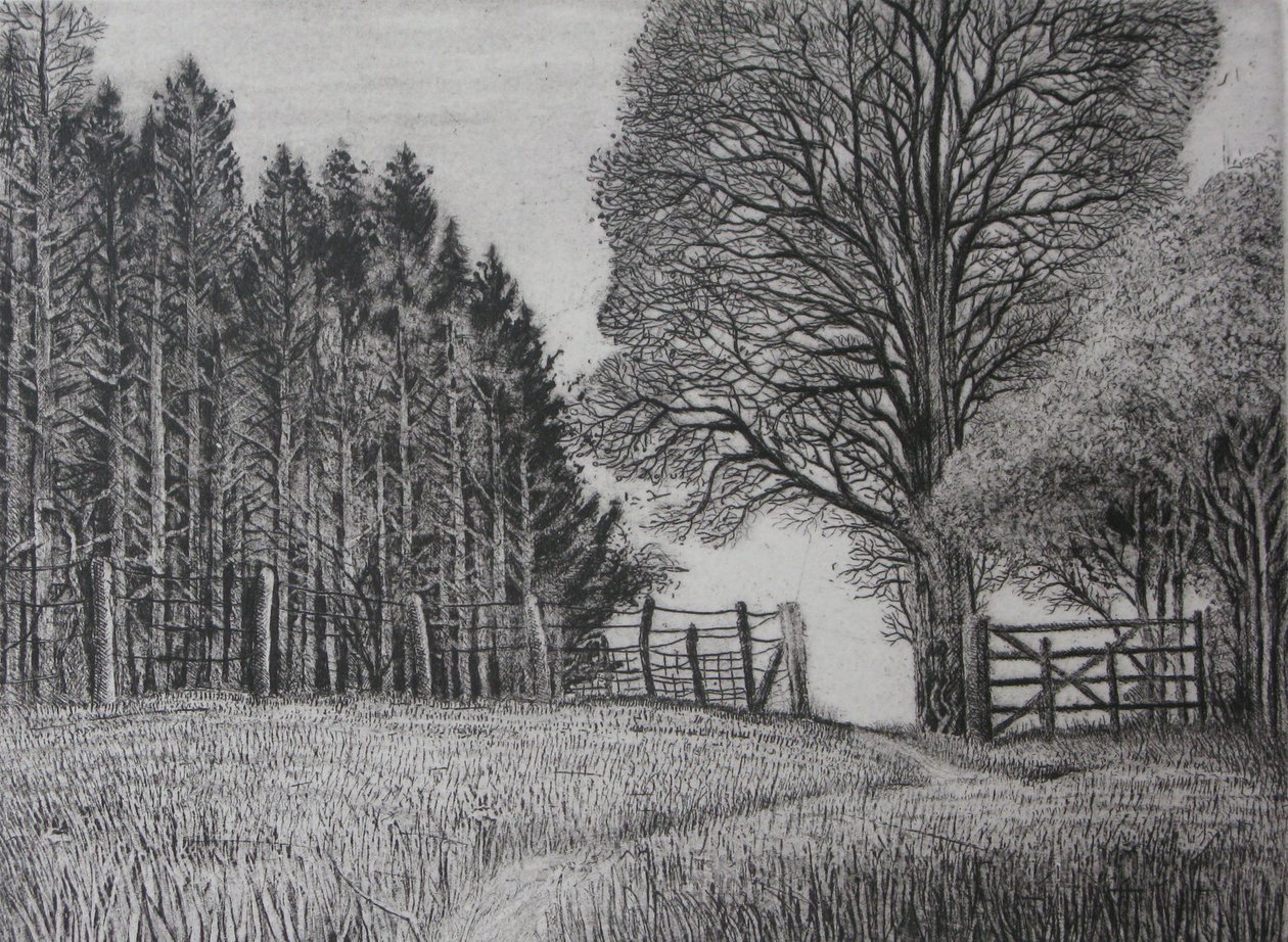 The Forest Path - Spring by Peter A Ford