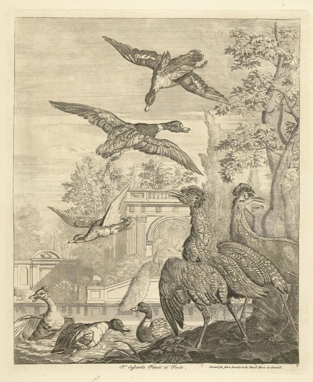 Ducks and Herons at a Bird Pond by Peter Casteels (III)