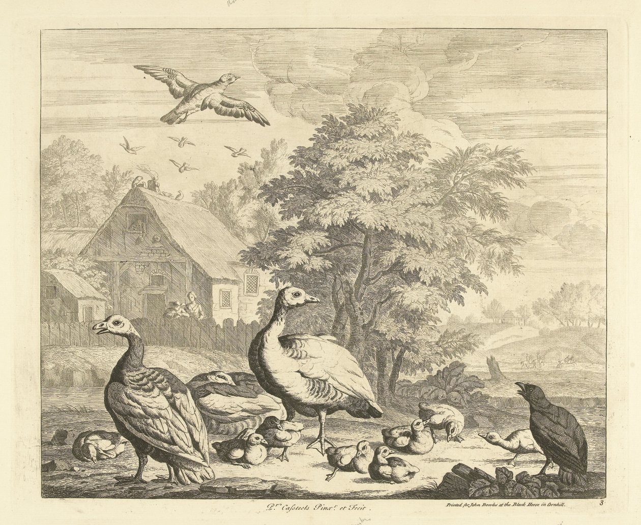 Geese with Goslings by a Stream (Various Birds) by Peter Casteels (III)