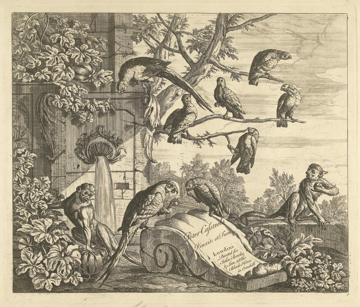 Parrots and Monkeys by a Garden Fountain, Various Birds (series title) by Peter Casteels (III)