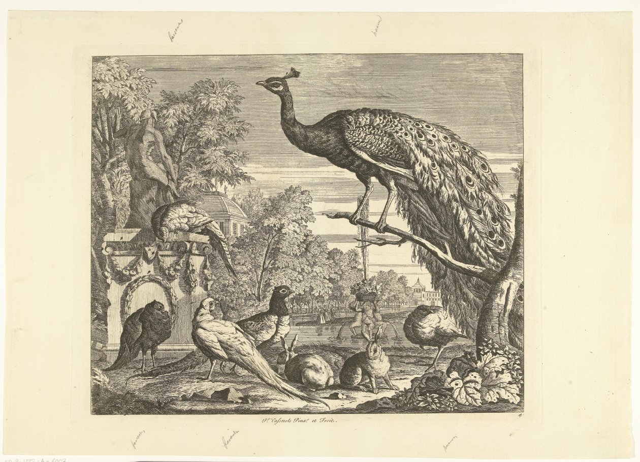 Peacock, Rabbits, and Other Birds by a Garden Fountain (Verschillende vogels) by Peter Casteels (III)