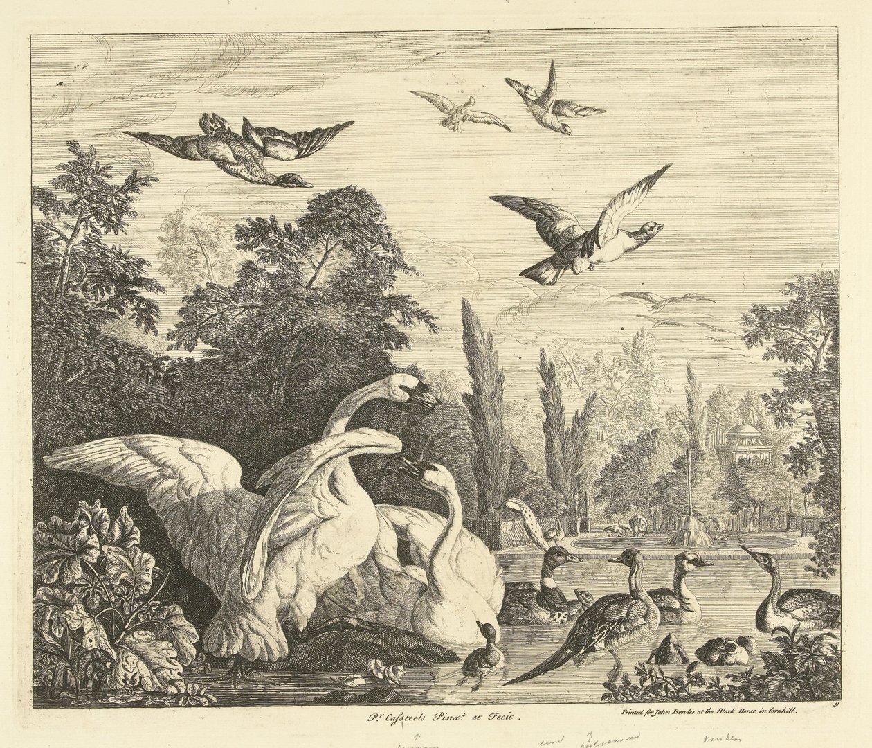 Swans and Ducks in a Bird Pond by Peter Casteels (III)
