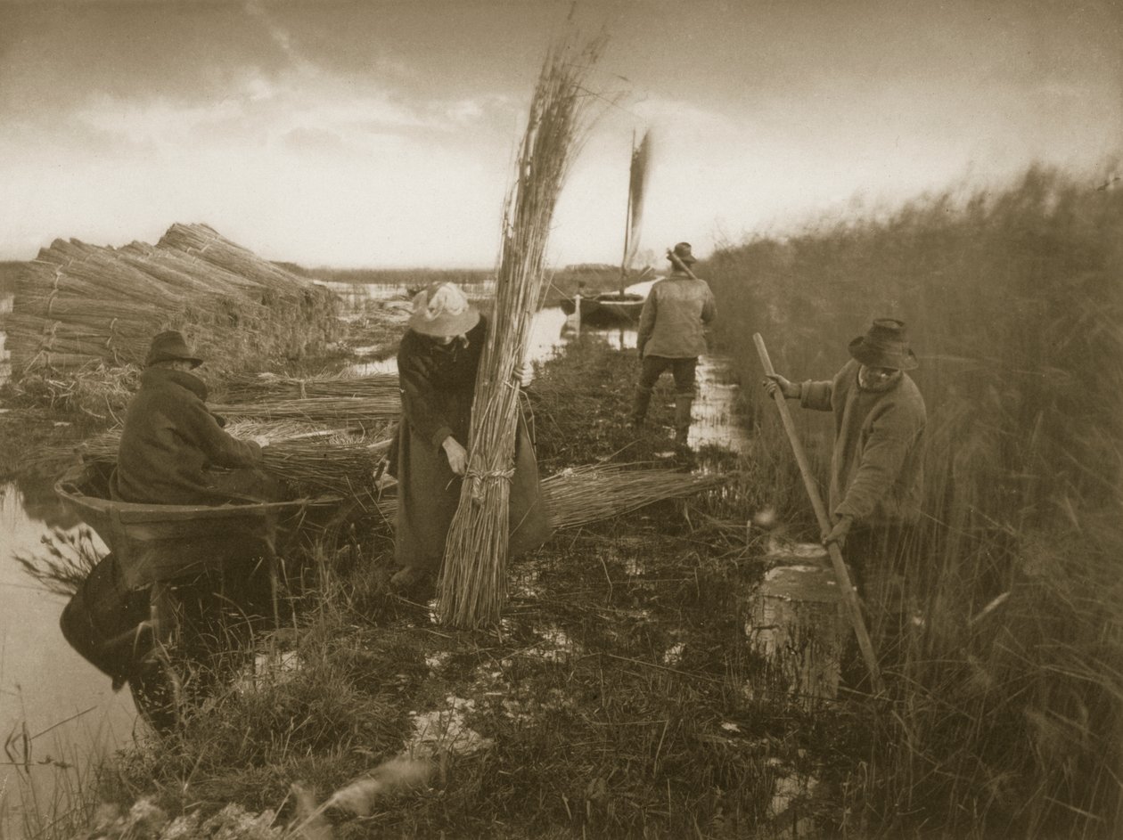 During the Reed Harvest, Life and Landscape on the Norfolk Broads by Peter Emerson und Thomas Goodall