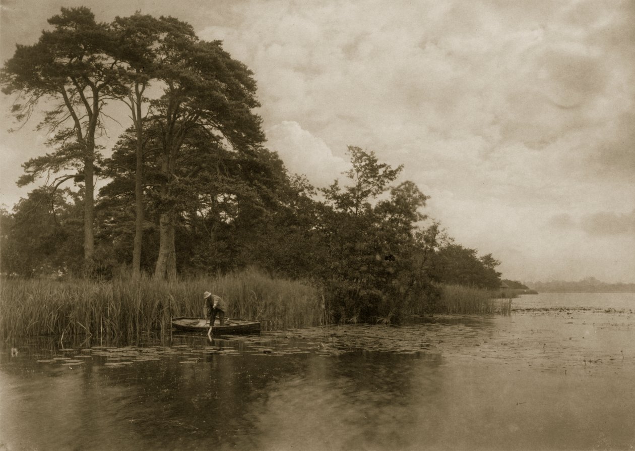 The Haunt of the Pike, c.1886 by Peter Emerson und Thomas Goodall
