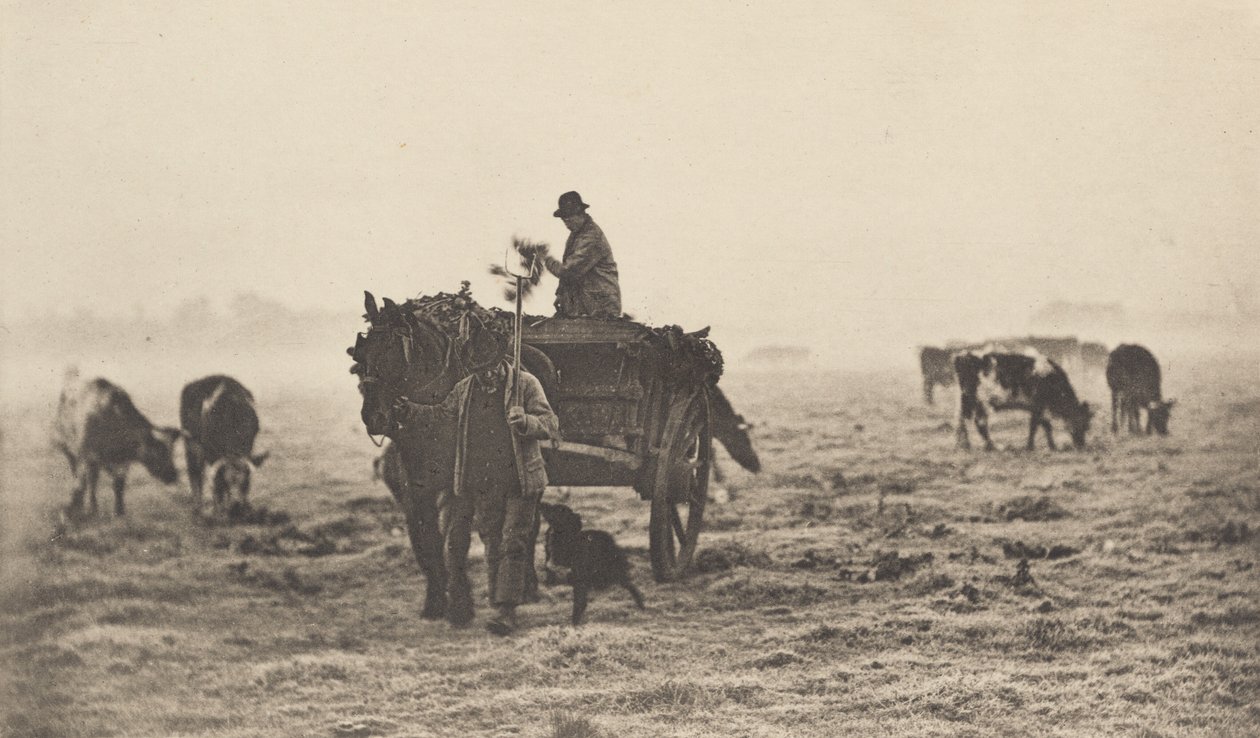 A Frosty Morning, 1890-1891, printed 1893 by Peter Henry Emerson