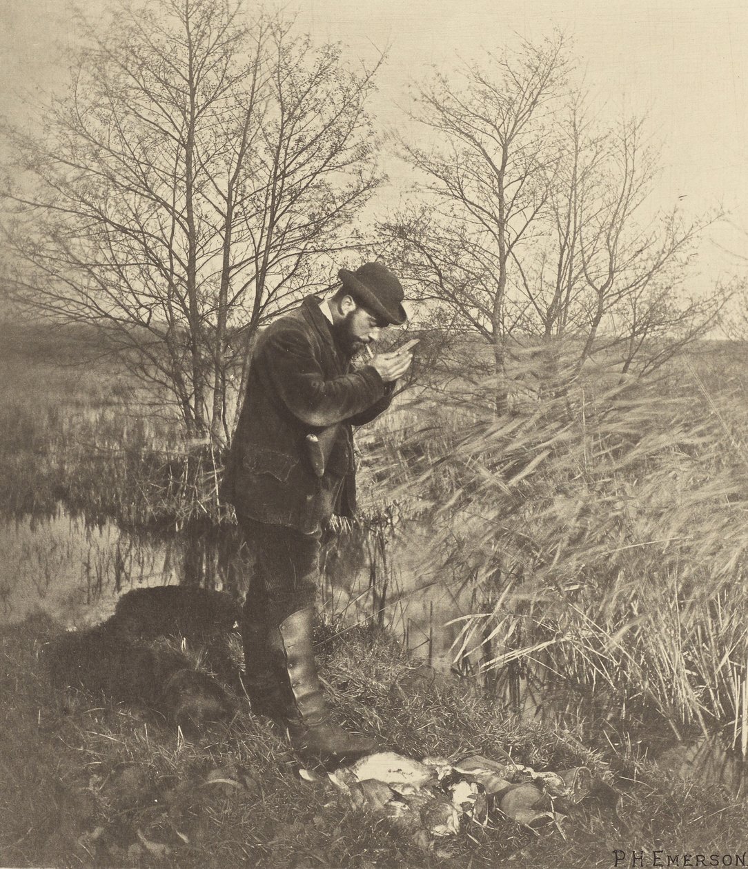 At the Covert Corner. Norfolk by Peter Henry Emerson